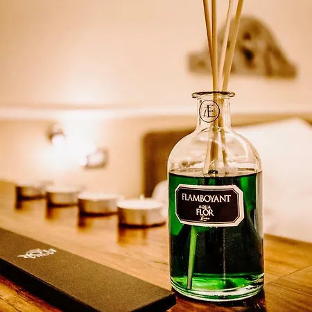 Acacia -timo Daire Floransa